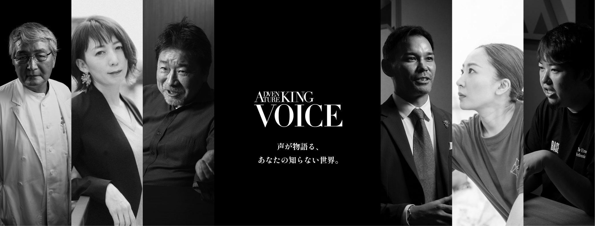 ADVENTUREKINGVOICE